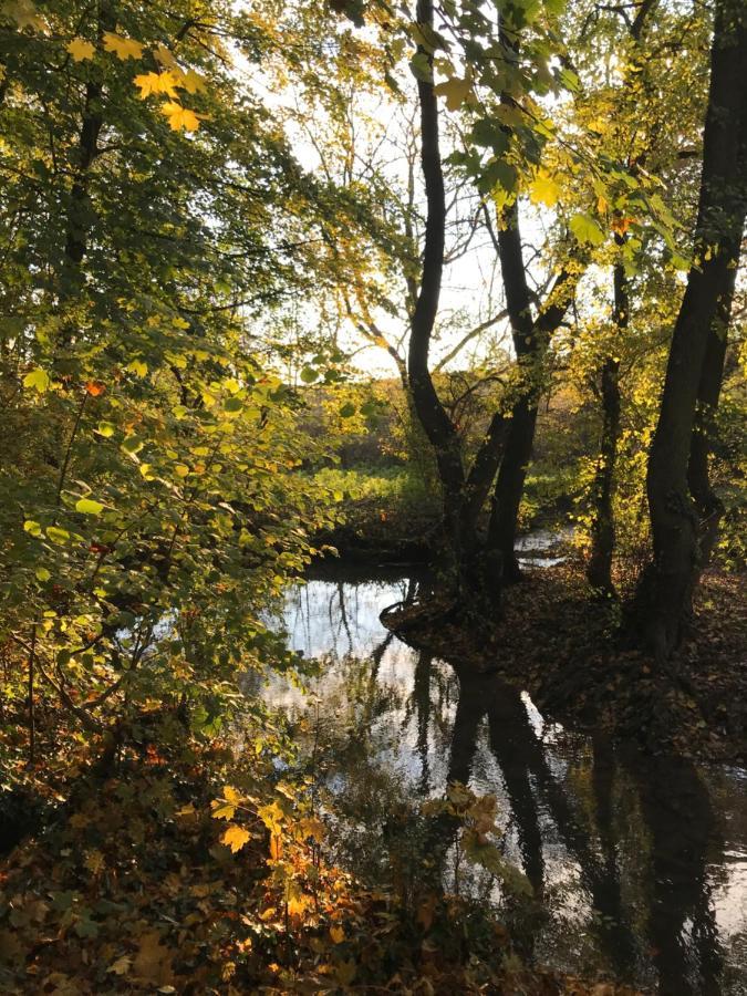 La Enchantee - Votre Pause Arboree